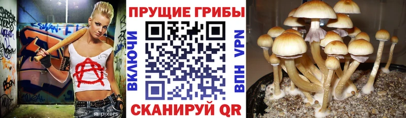 Галлюциногенные грибы Magic Shrooms  Калининец 